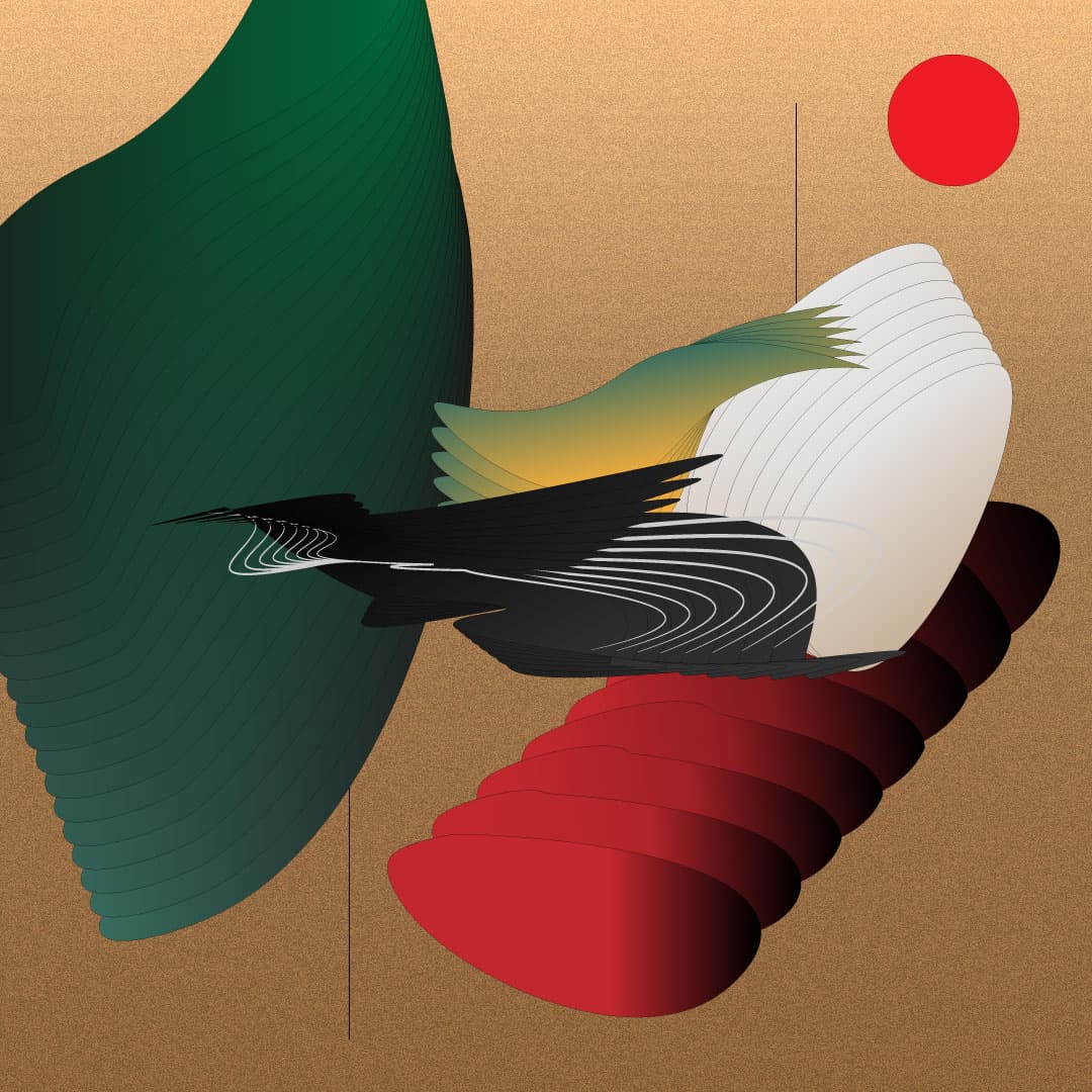 Practice of Illustrator