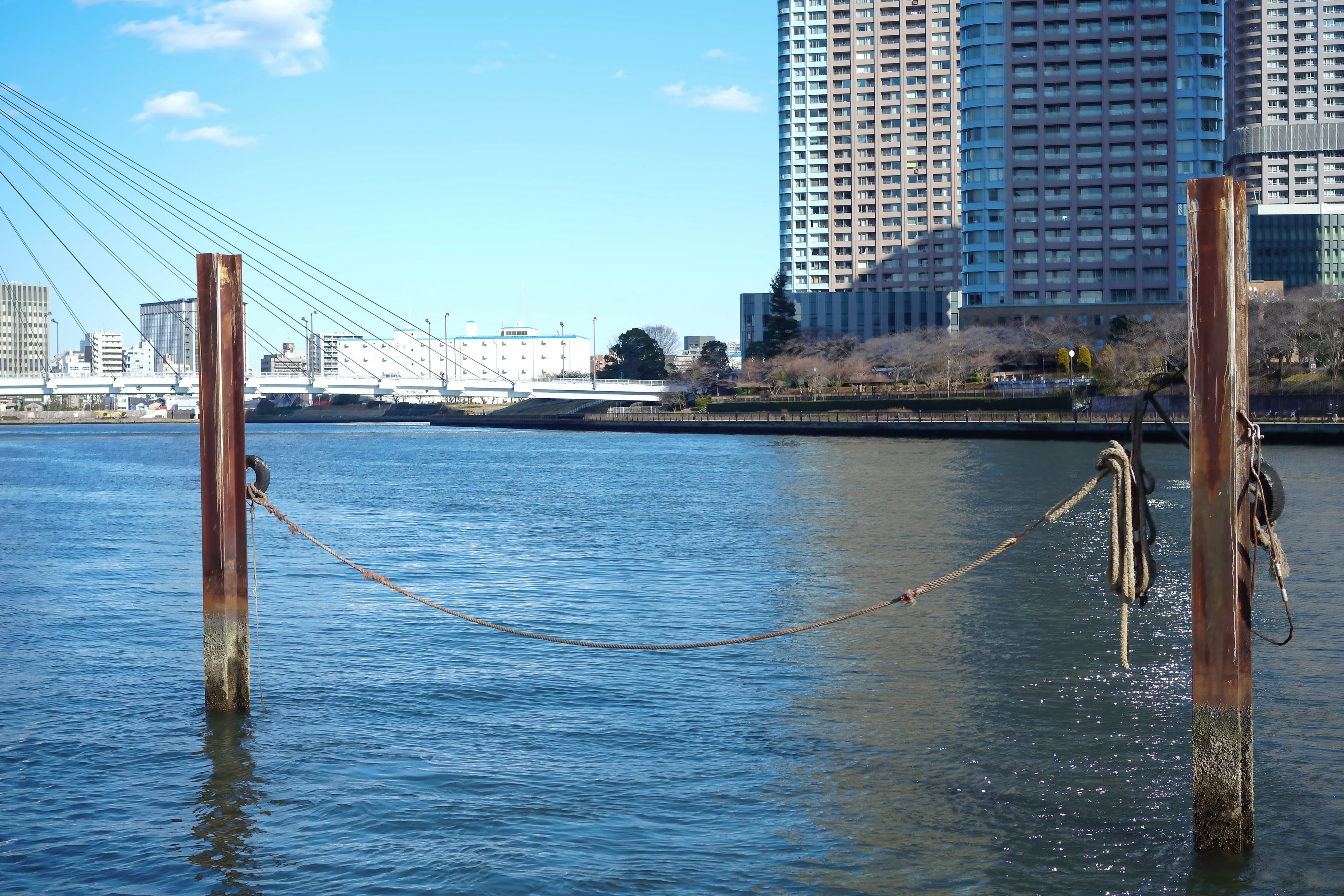 the rope looks like torii